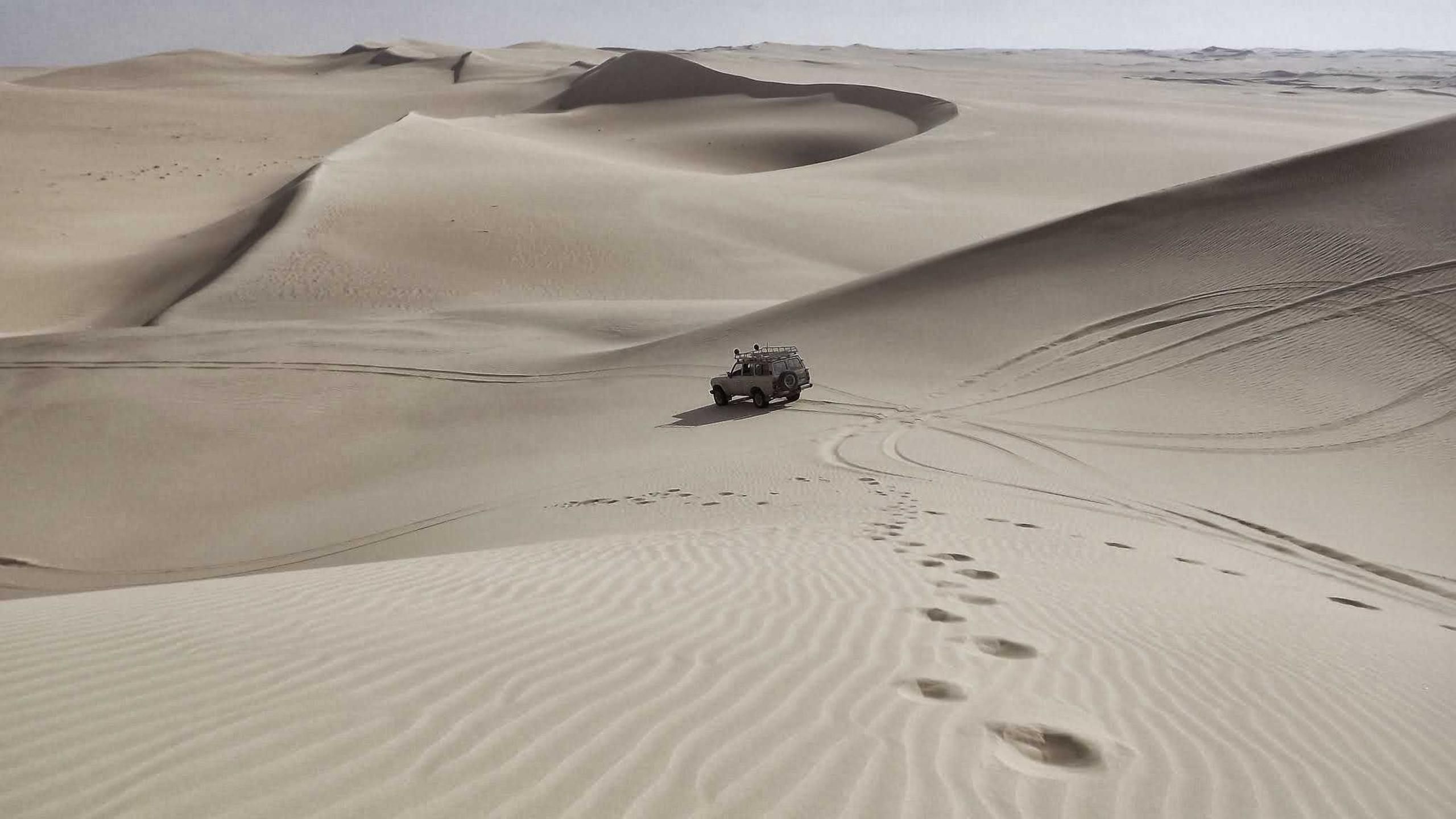 Organic Full-range Core