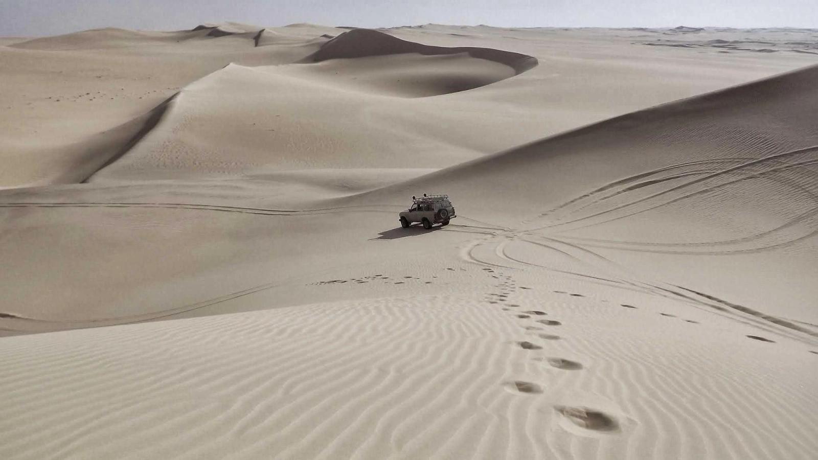 Organic Full-range Core