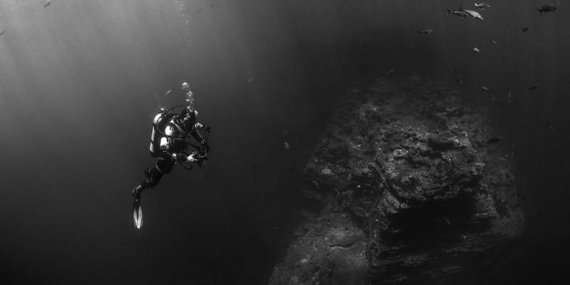 Quality-focused Content-based Intranet