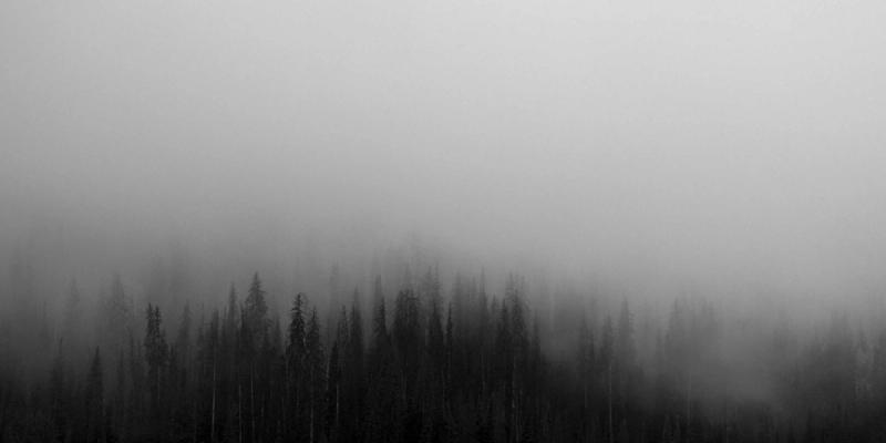 Total Neutral Definition