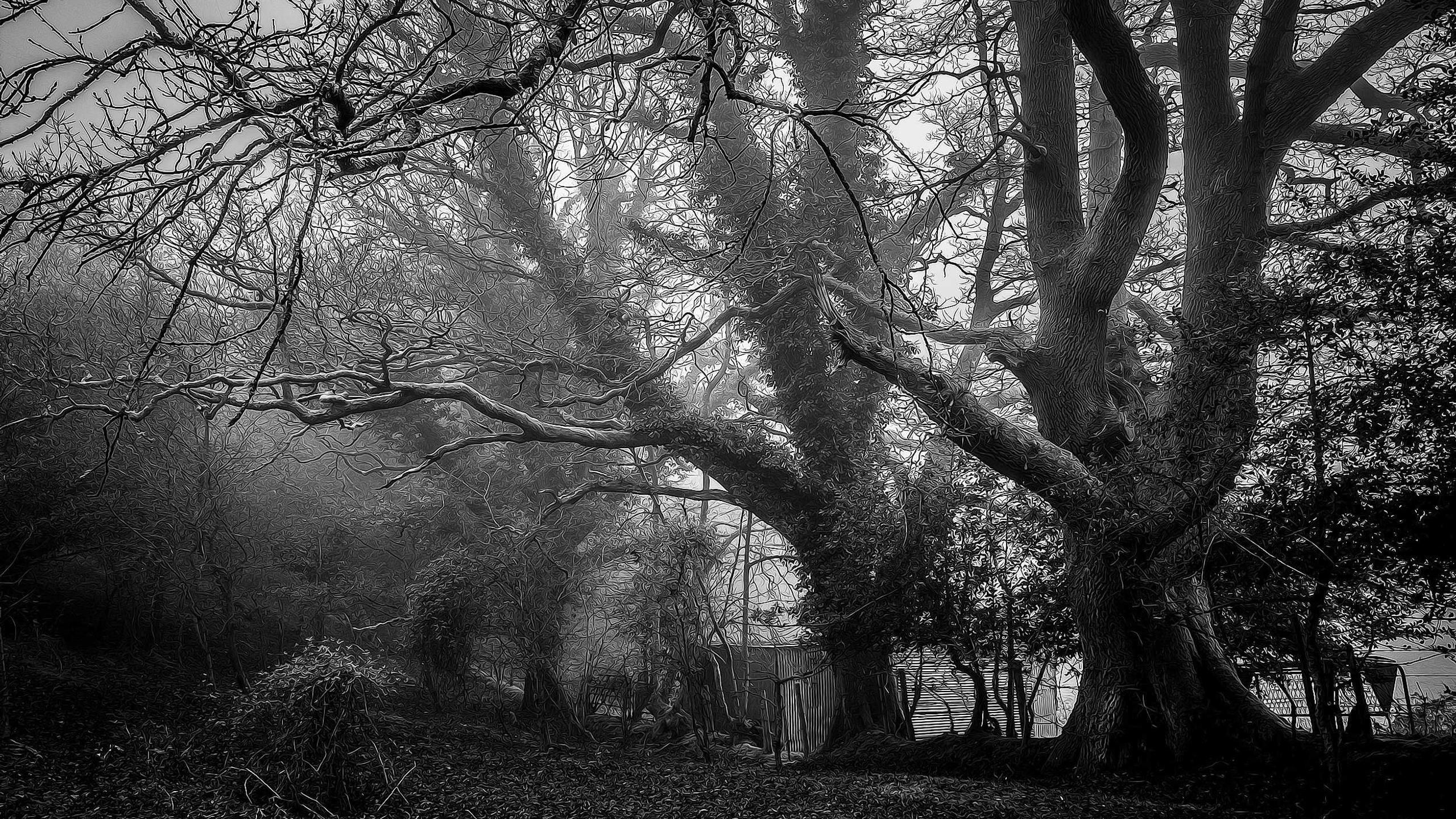 Optional Systemic Matrix