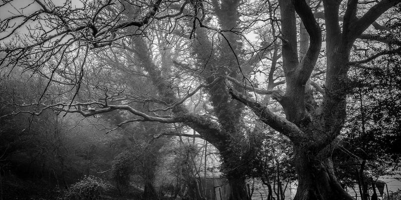 Optional Systemic Matrix