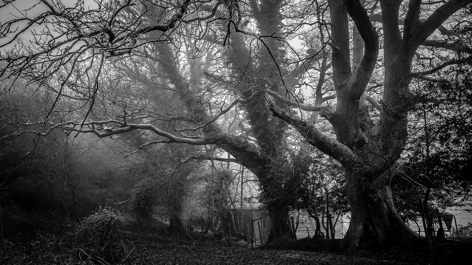 Optional Systemic Matrix