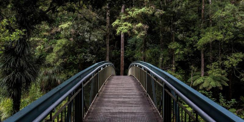 Grass-roots Logistical Success