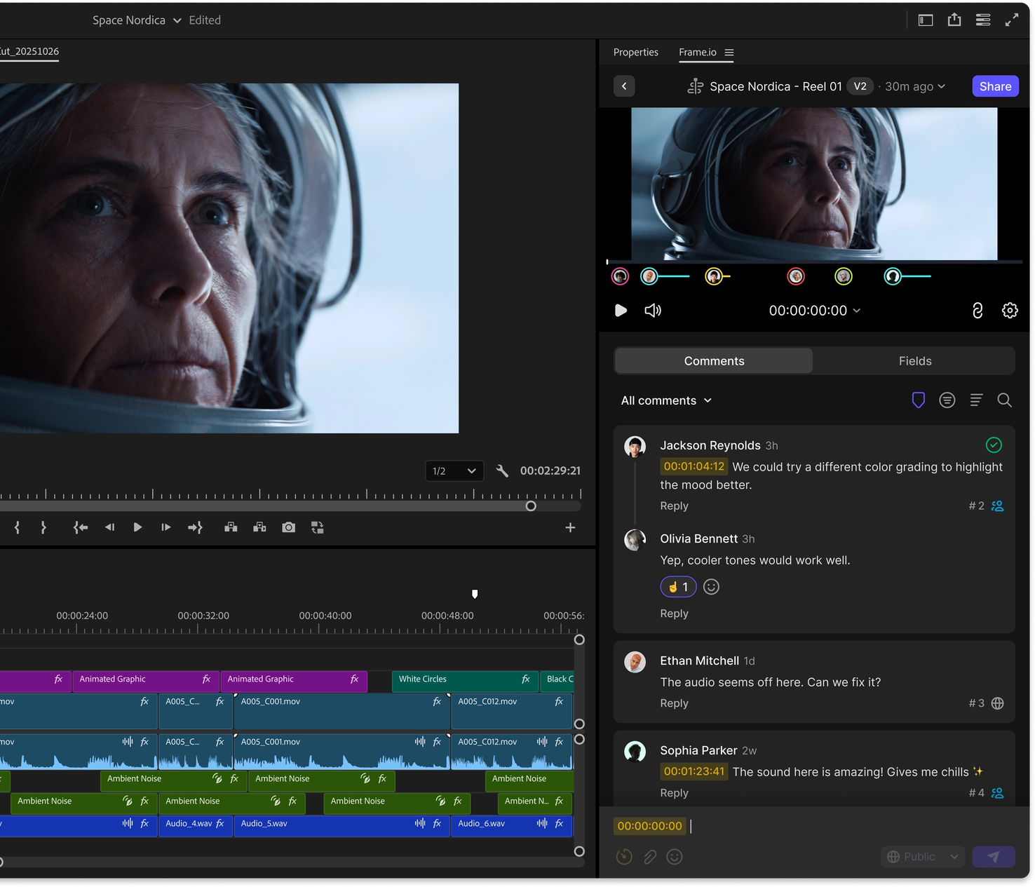 Frame.io interface screenshot