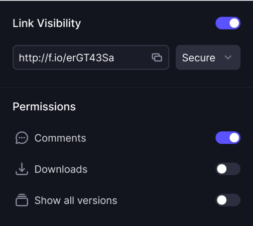 Frame.io interface screenshot