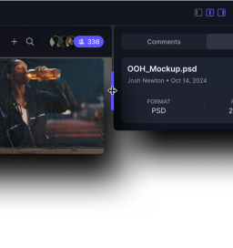 Frame.io interface screenshot