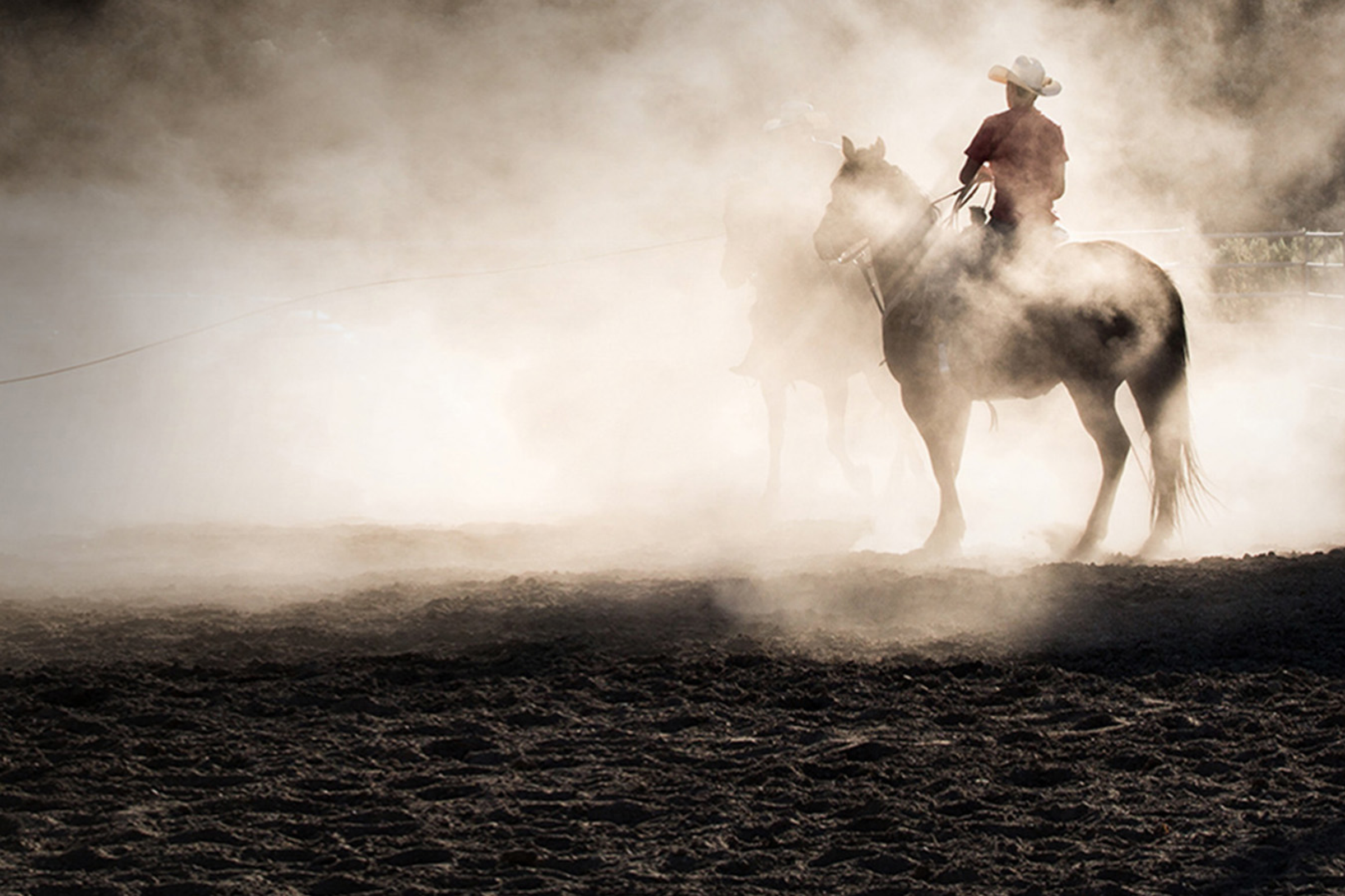 Cowboy on his horse in a dusty paddock.