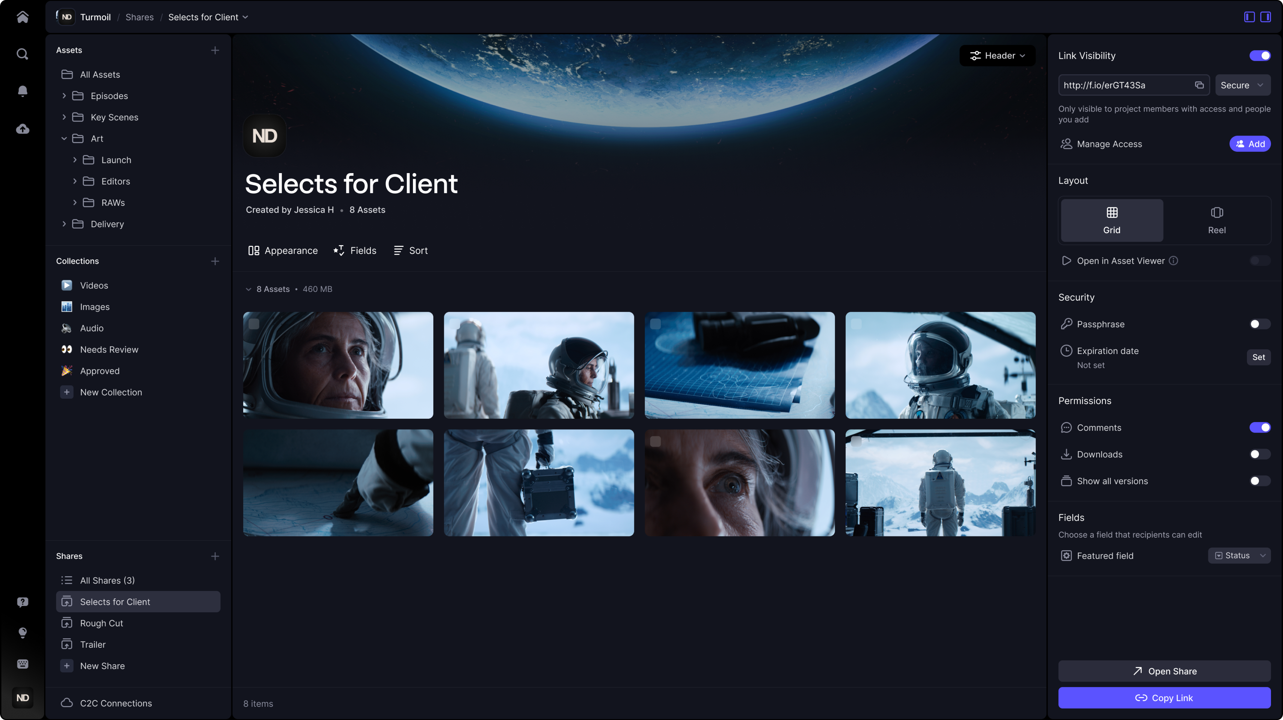 Frame.io selects interface