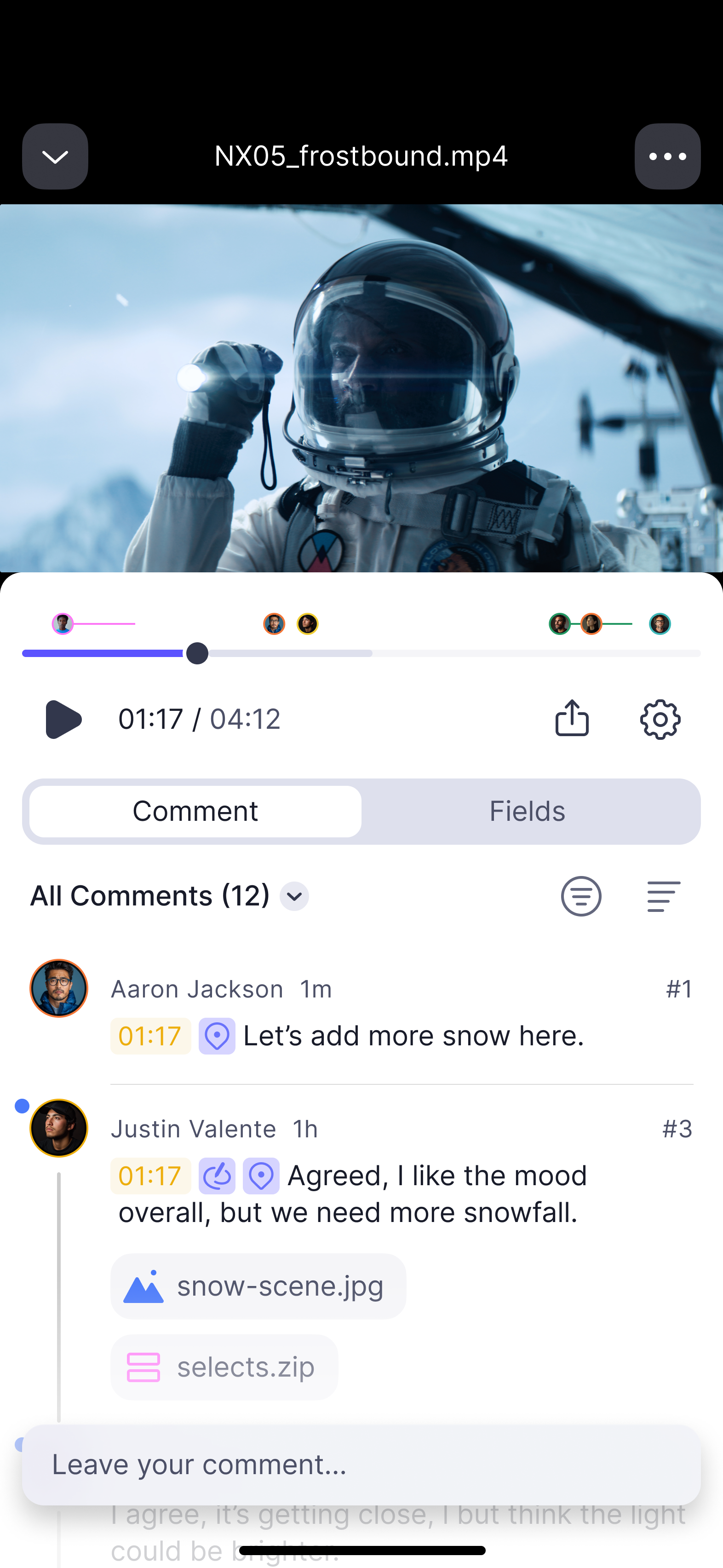 Frame.io interface screenshot on iphone
