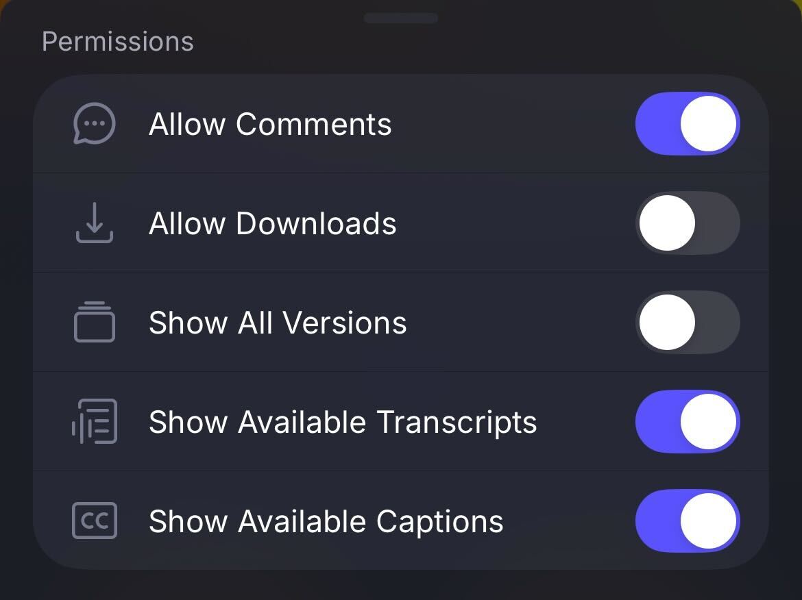 A Frame.io Drive screen displaying a 'Permissions' menu with five options and their on/off toggle states: Allow Comments (on), Allow Downloads (off), Show All Versions (off), Show Available Transcripts (on), Show Available Captions (on).