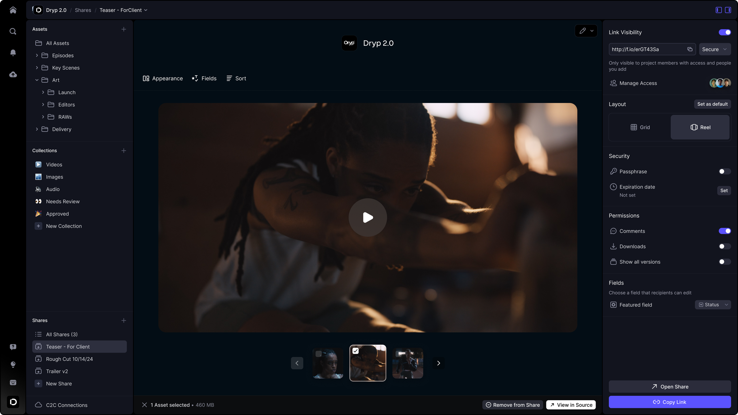 Captura de tela da interface do Frame.io