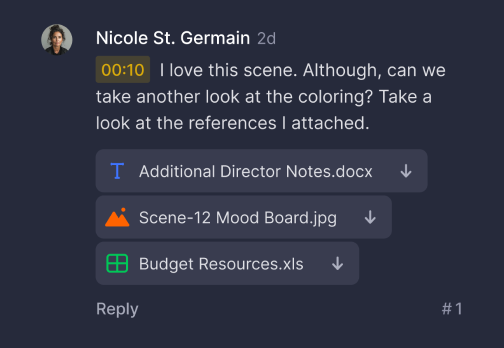Frame.io comment example screenshot
