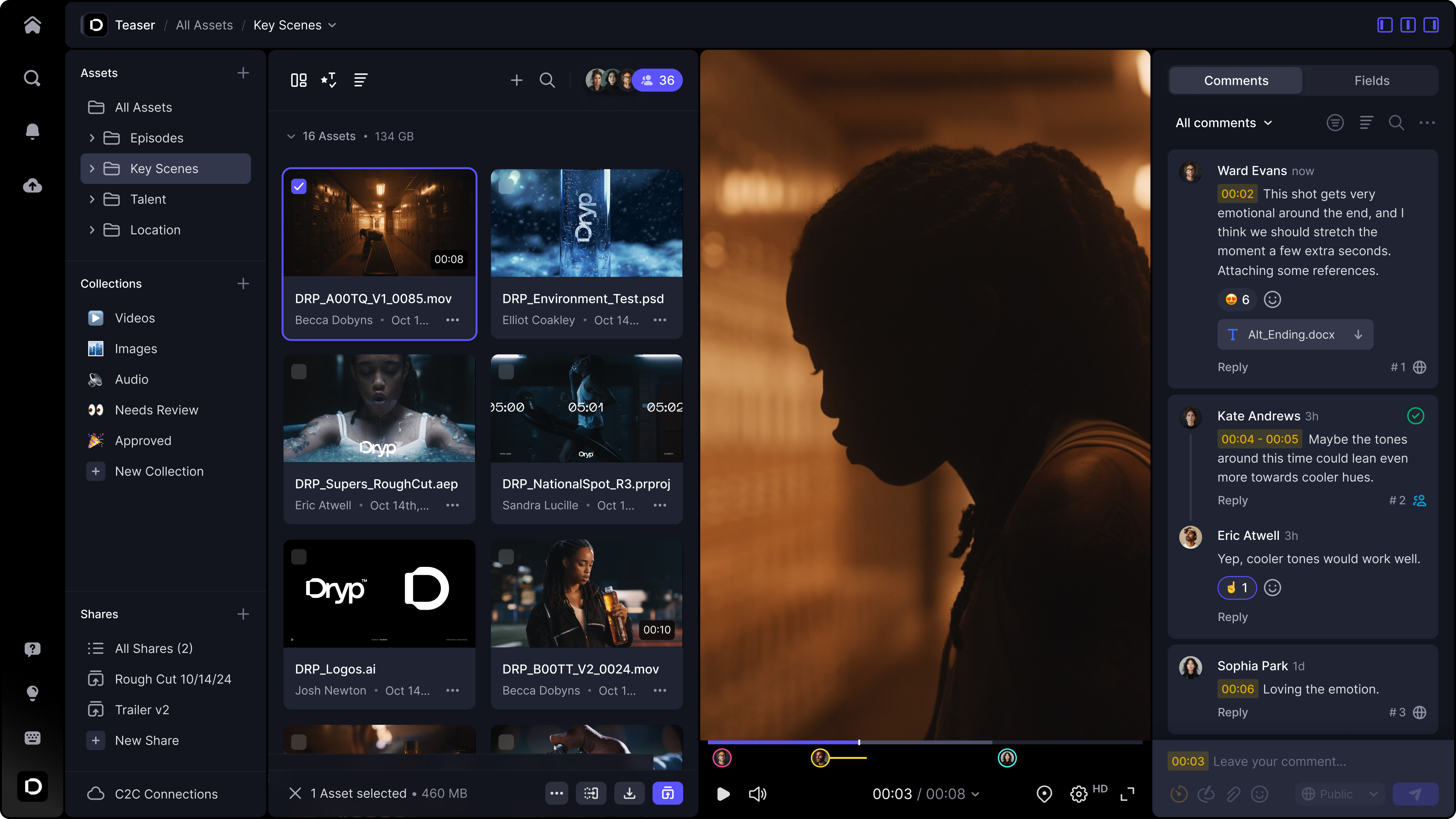 Frame.io interface screenshot