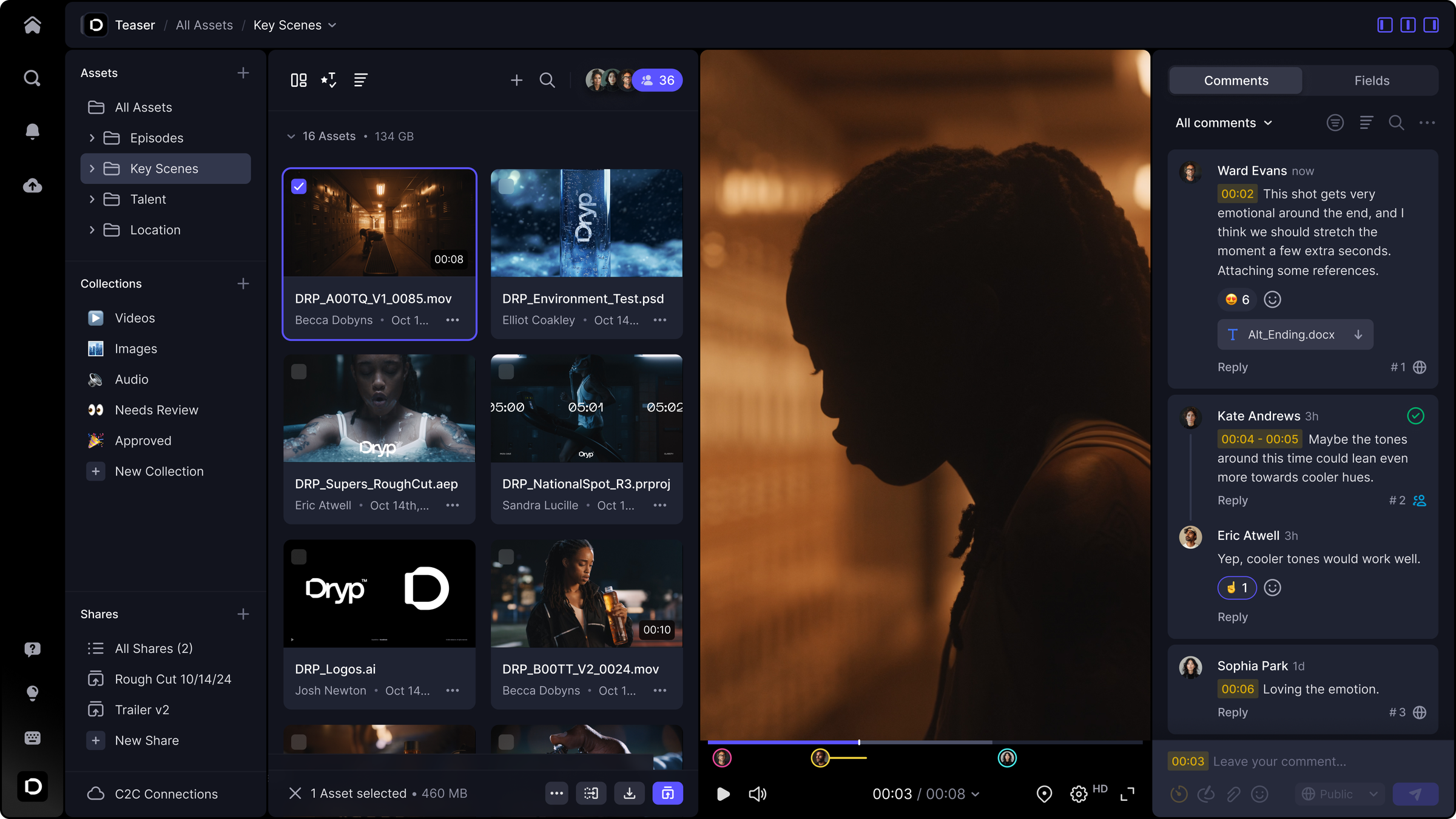 Frame.io interface screenshot
