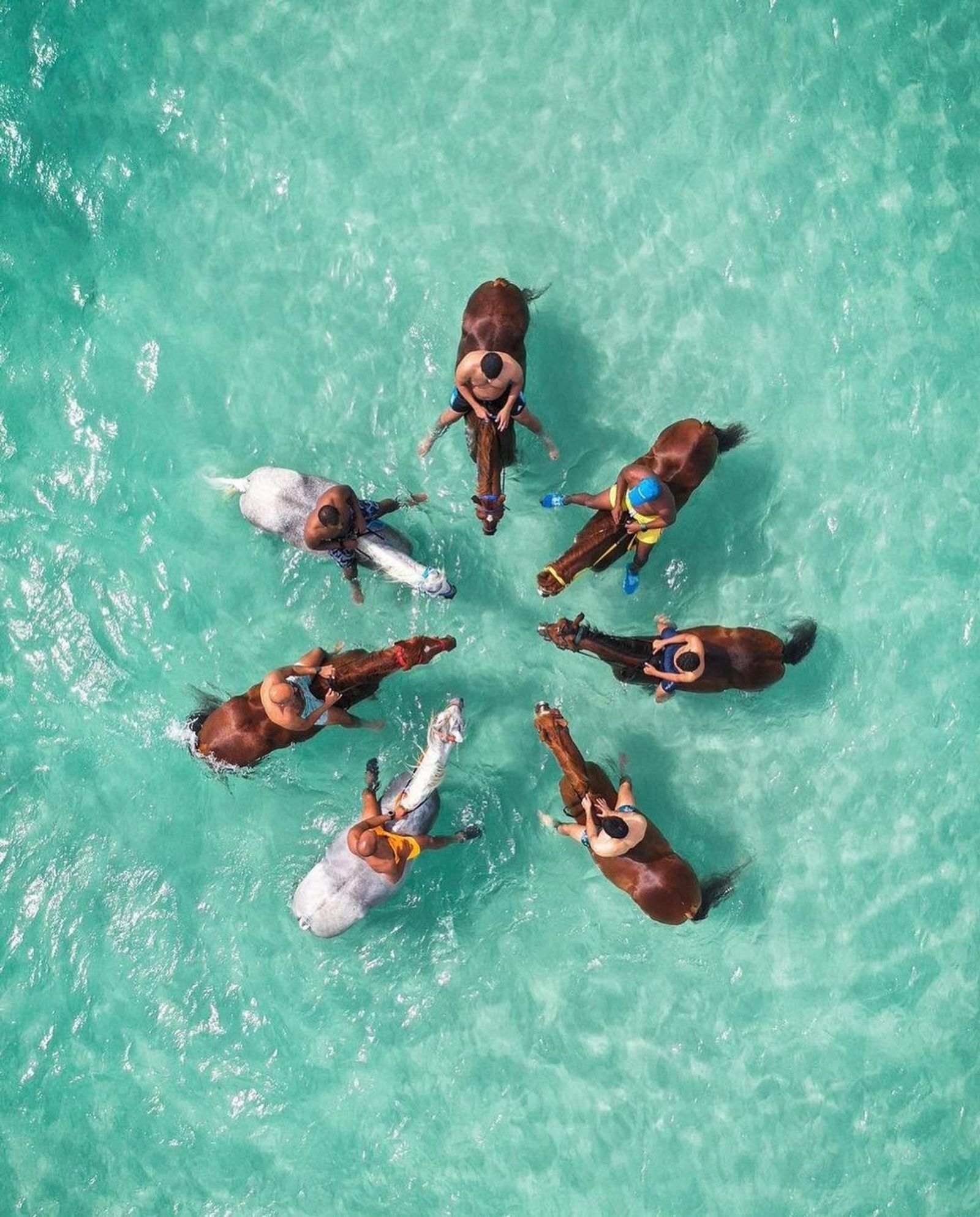 Adventurous Splash