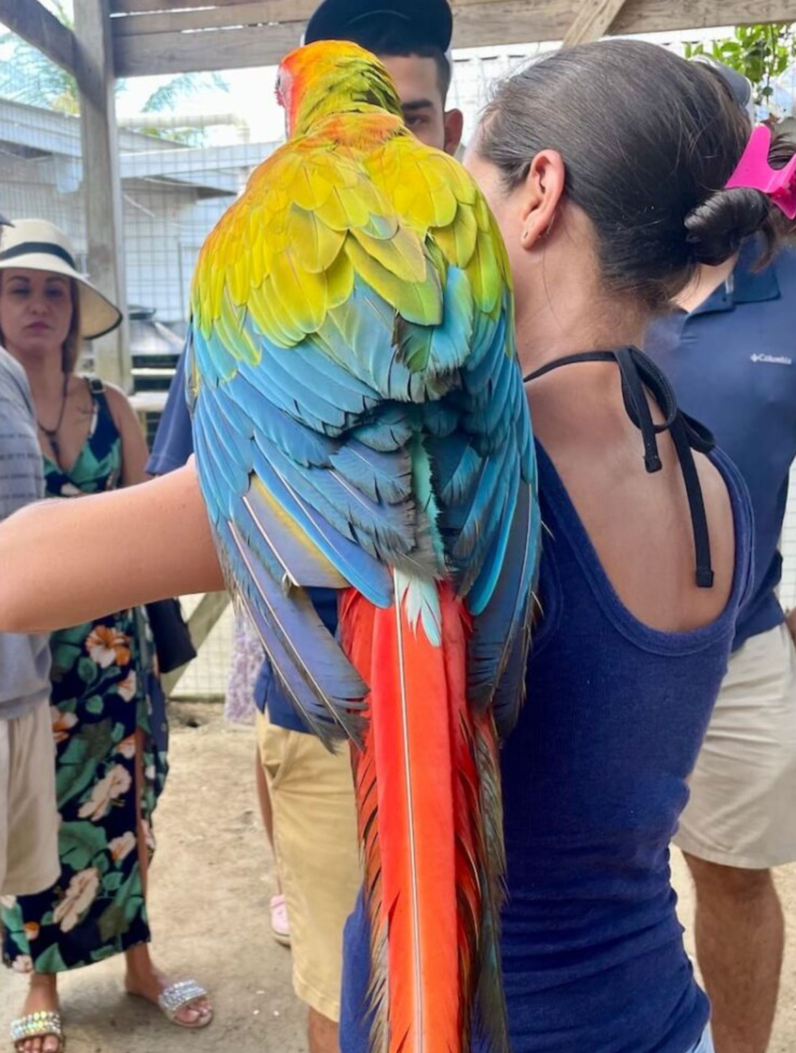 Roatan Animal Sanctuary & Beach Break