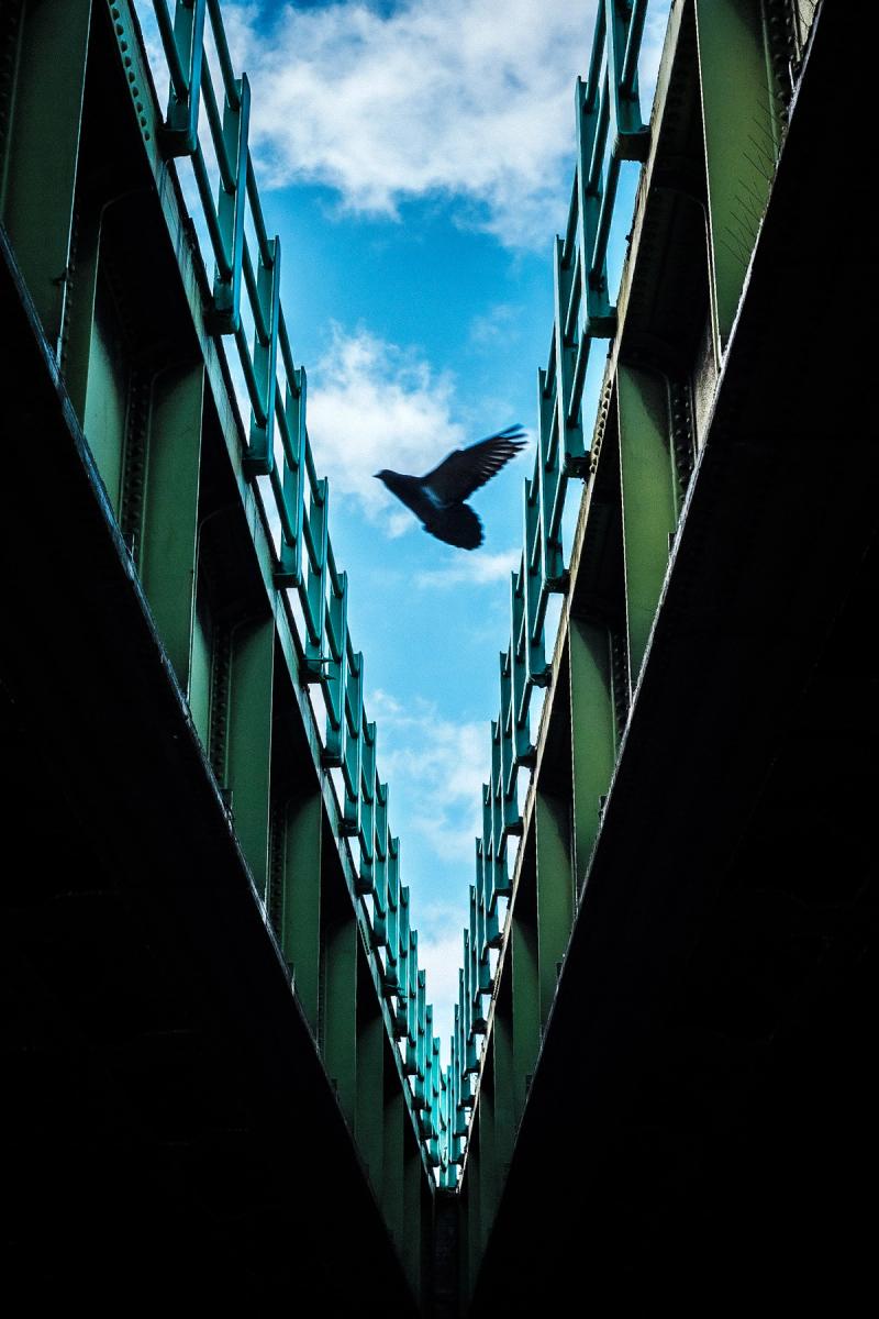 A gap between two parallel railway bridges forms a V-shape seen in perspective from below. A bird is flying in the gap against a blue sky with a few clouds. Apart from the gap the image is mostly dark. 