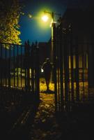 A man and dog under a street lamp walking away from the lens, seen through the open gate of a park at night.