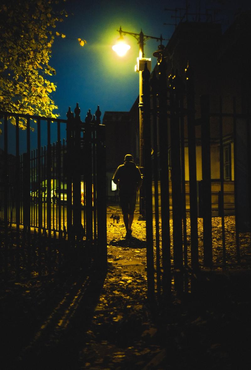 A man and dog under a street lamp walking away from the lens, seen through the open gate of a park at night.