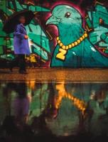 A lady in a purple coat holding an umbrella walking in front of the giant head and chest of a spray-painted bird on the wall behind. The bird has a gold chain with a ‘Z’ on it round its neck. This is all reflected in the wet road below. 