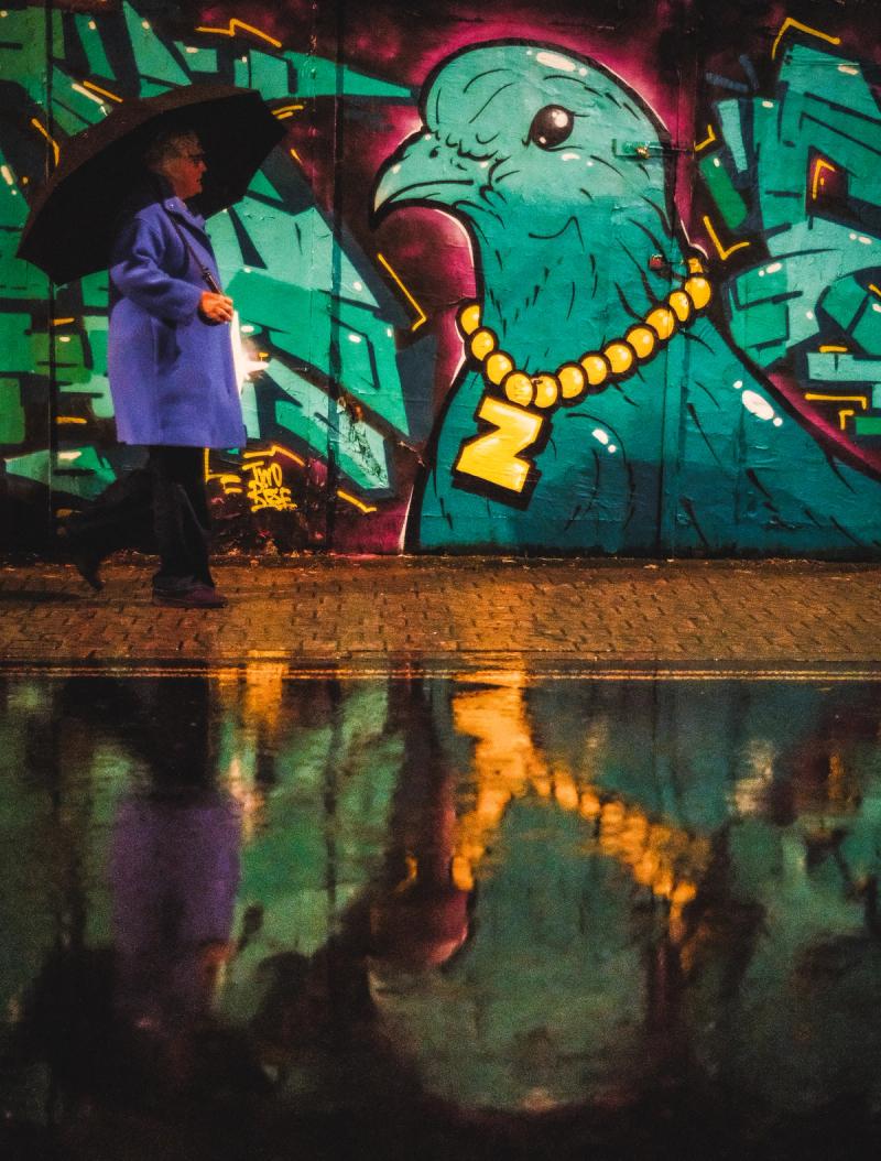 A lady in a purple coat holding an umbrella walking in front of the giant head and chest of a spray-painted bird on the wall behind. The bird has a gold chain with a ‘Z’ on it round its neck. This is all reflected in the wet road below. 