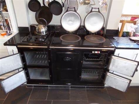 Professional AGA Cleaning