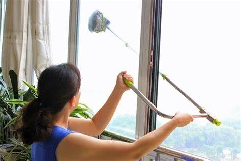 Professional window cleaning