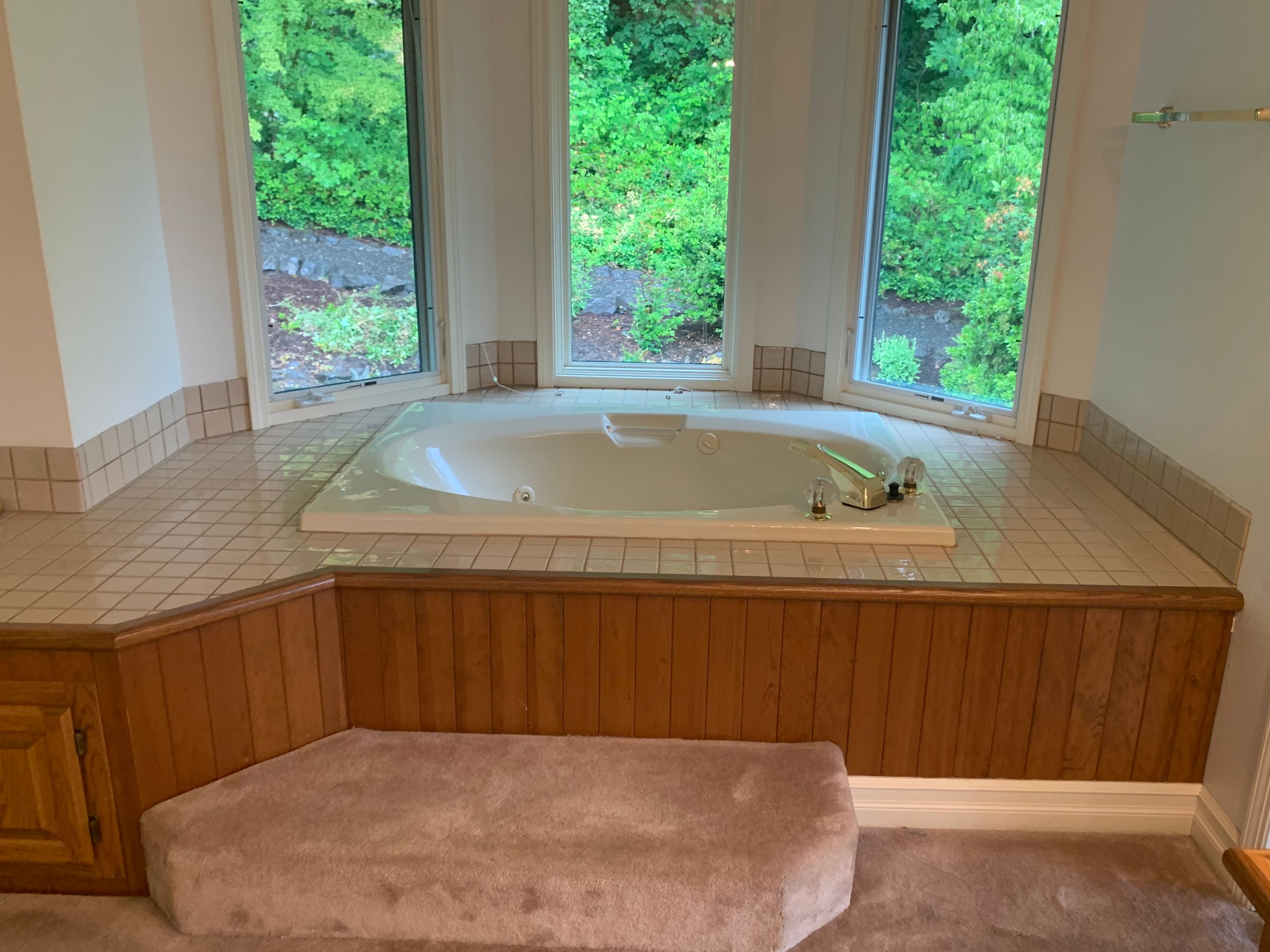 Bathroom Remodel before