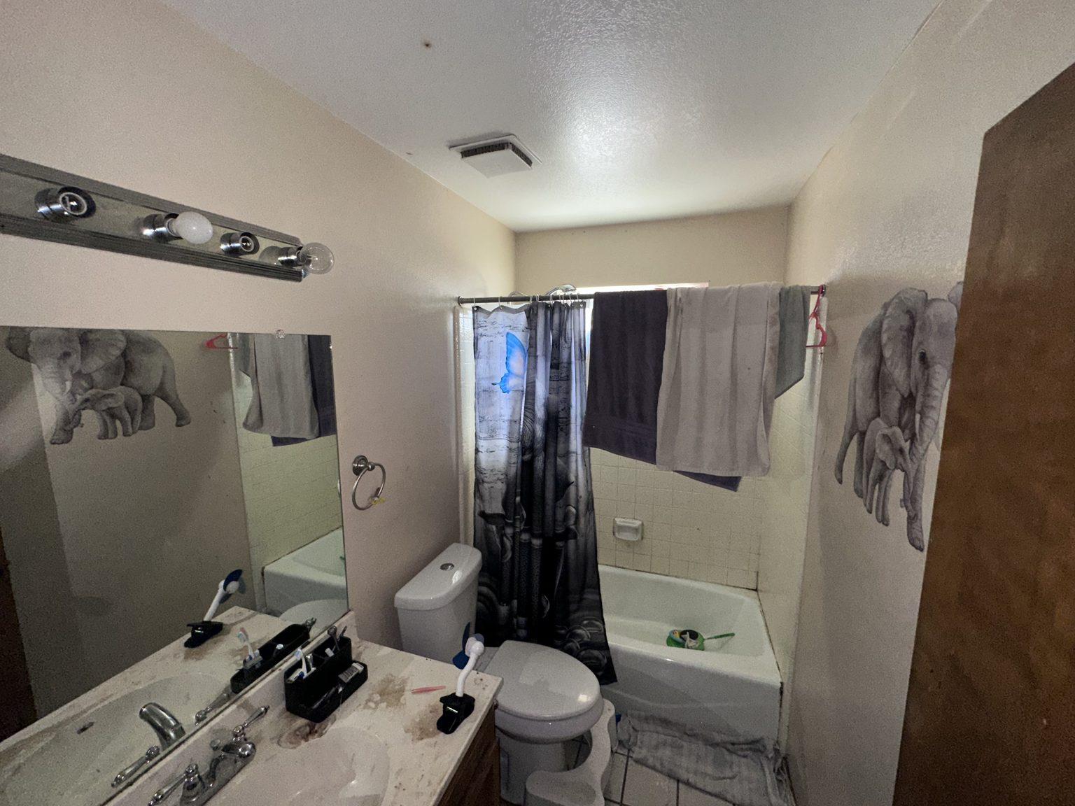 Before the remodel: the original hall bathroom with a tub and shower curtain, single-sink vanity and dated fixtures.