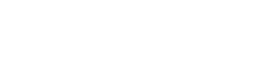 Canvas small logo white