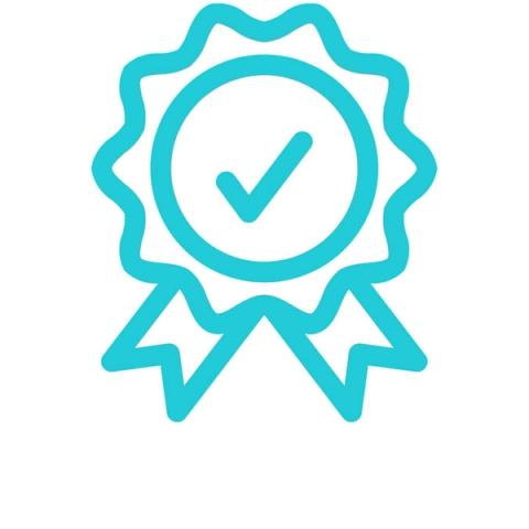 Ribbon certificate with a tick