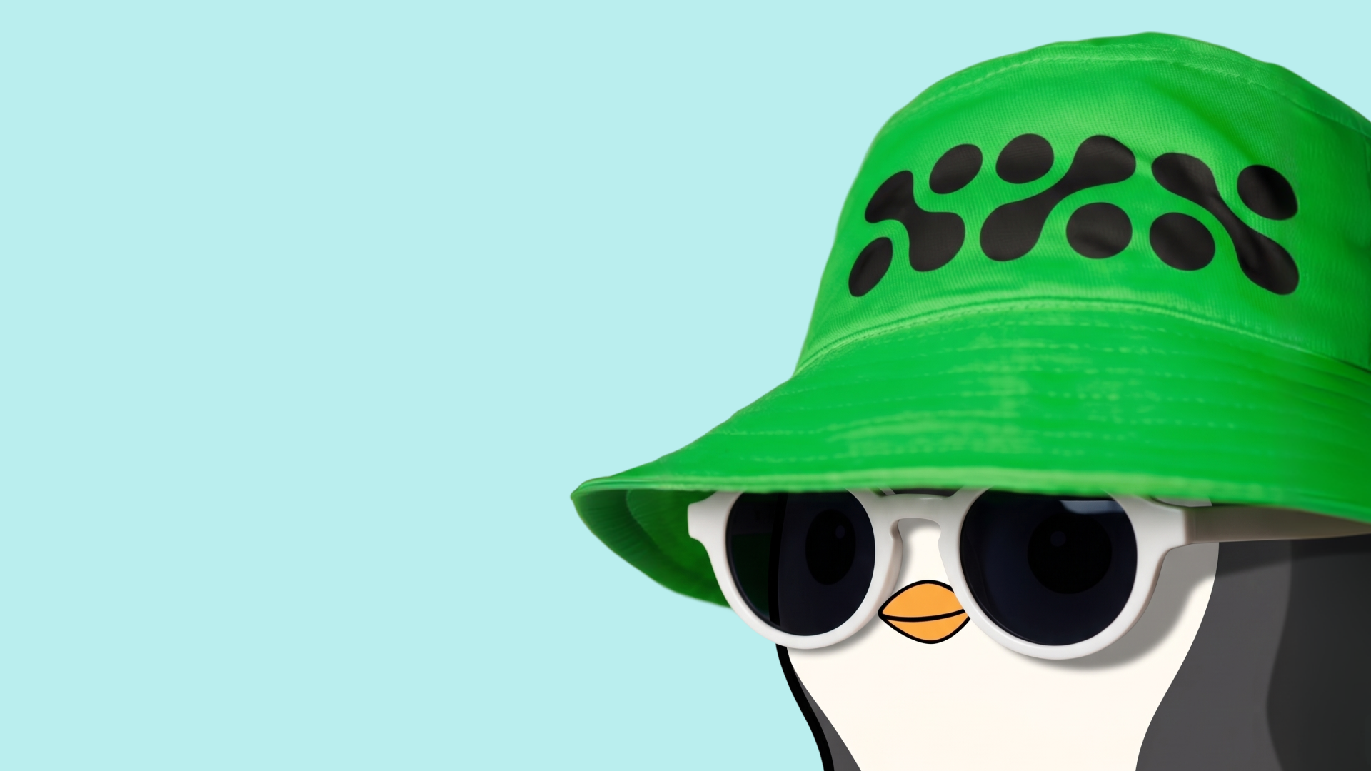 Nerwo cap with Pudgy Penguins