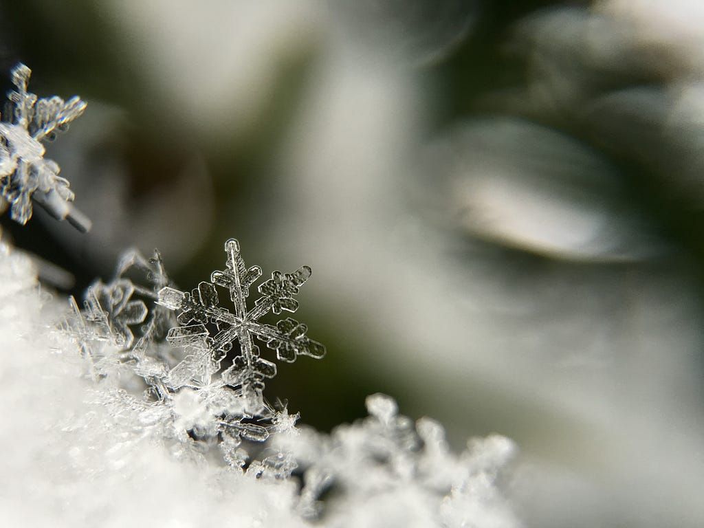 Now that I’m an entrepreneur, my life is effectively a series of snow days, every day, all day. No constraints. Unlimited potential for work. Unlimited potential for procrastination. No protection from inertia.