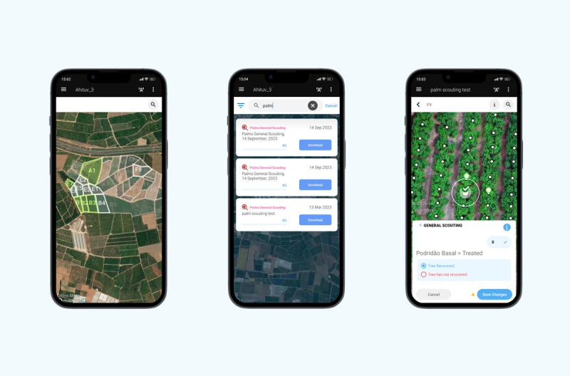 SeeTree