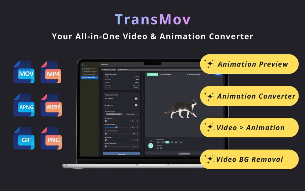 Screenshot of TransMov