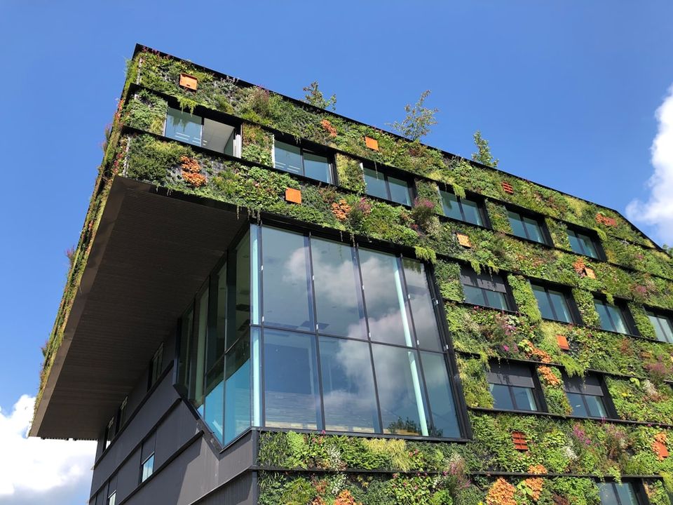 Modern sustainable office building with a vertical garden wall covered in lush green plants and flowers, showcasing eco-friendly architecture and green design for attracting environmentally conscious clients under a clear blue sky