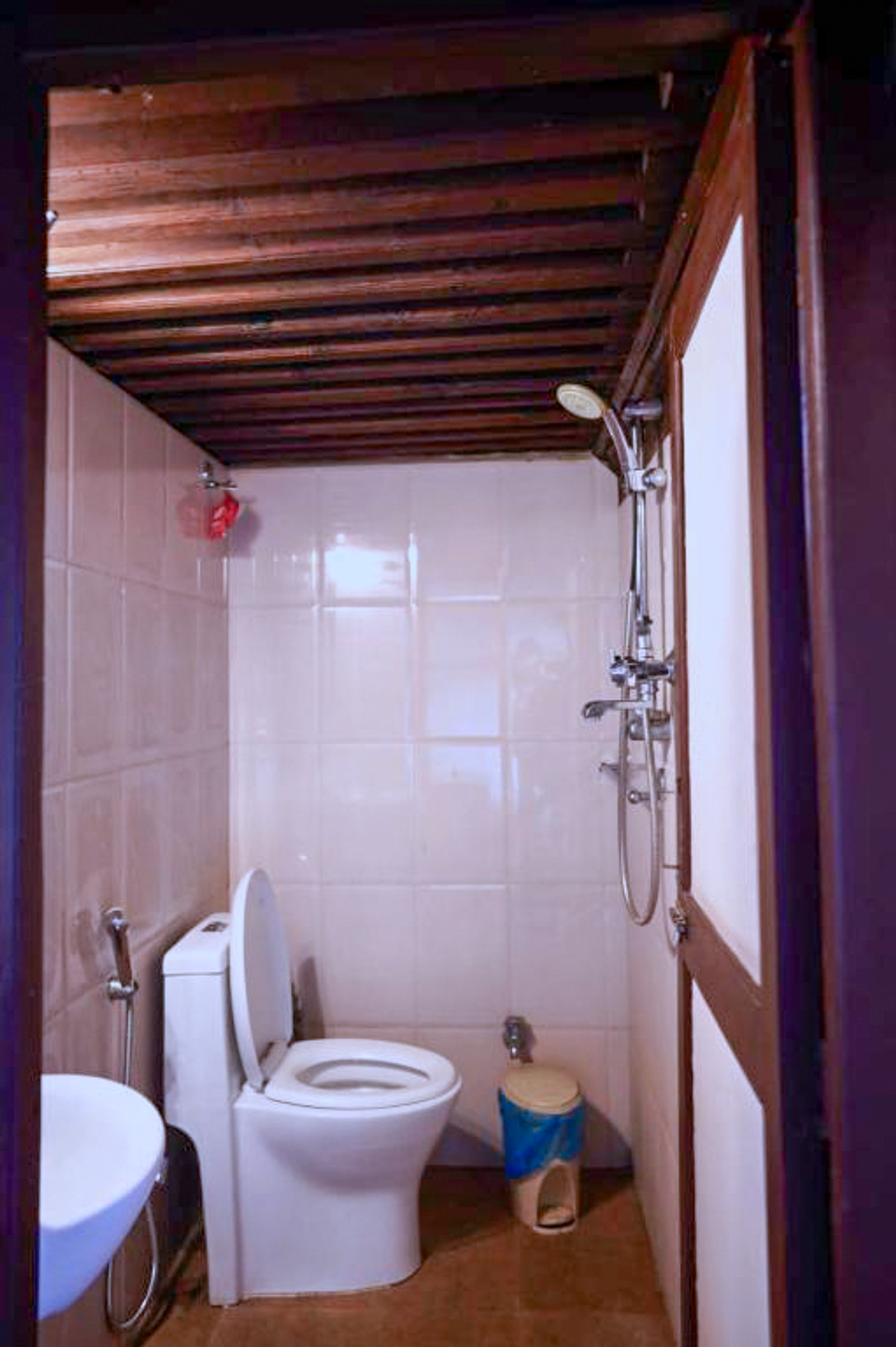 Brahmayani private ensuite bathroom with shower and toilet