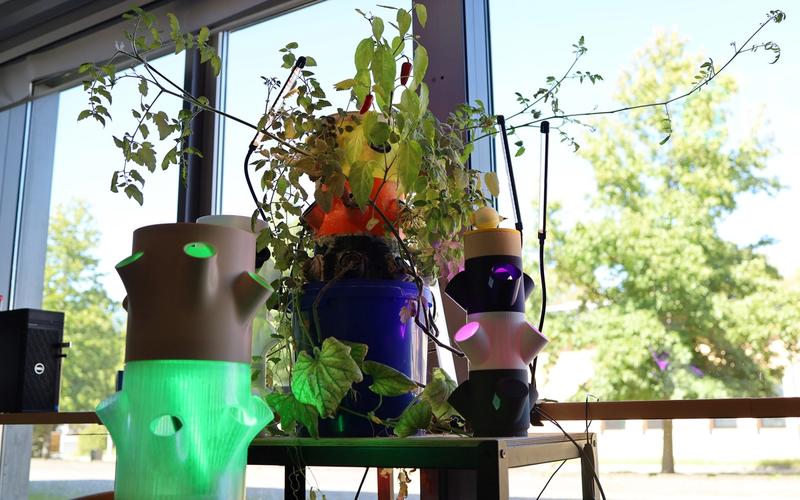 A photo of two modular, stackable hydroponic systems with glowing green and purple lights, flanking a larger blue pot with various green plants, all placed on a table in front of a large window.