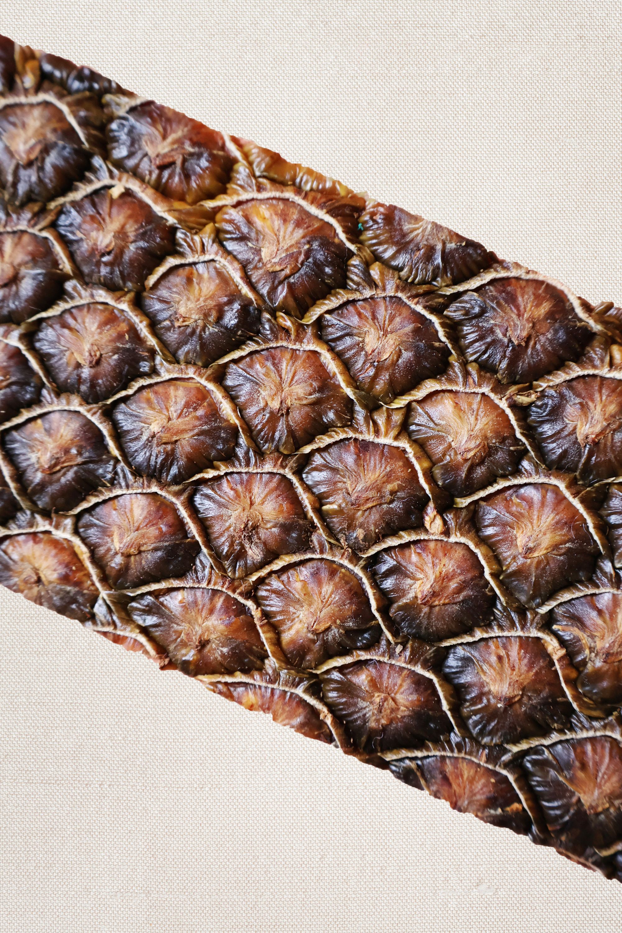 Detailed close-up of a textured, scale-like surface made from overlapping, dried circular slices—likely a bio-material derived from fruit skins, such as pineapple. The pattern mimics reptilian or botanical textures.