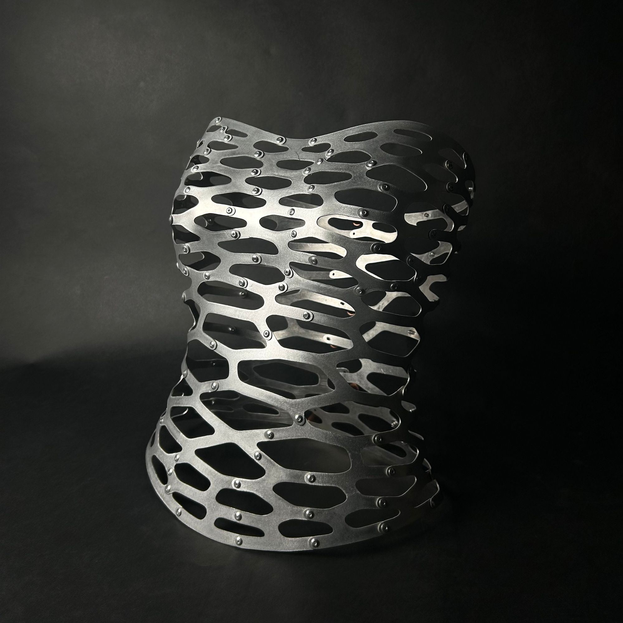 Sculptural corset-like structure made of interlocking matte metal pieces, cut in an organic, cellular pattern. The modular segments are fastened with small bolts, creating a flexible and futuristic form that mimics a human torso.