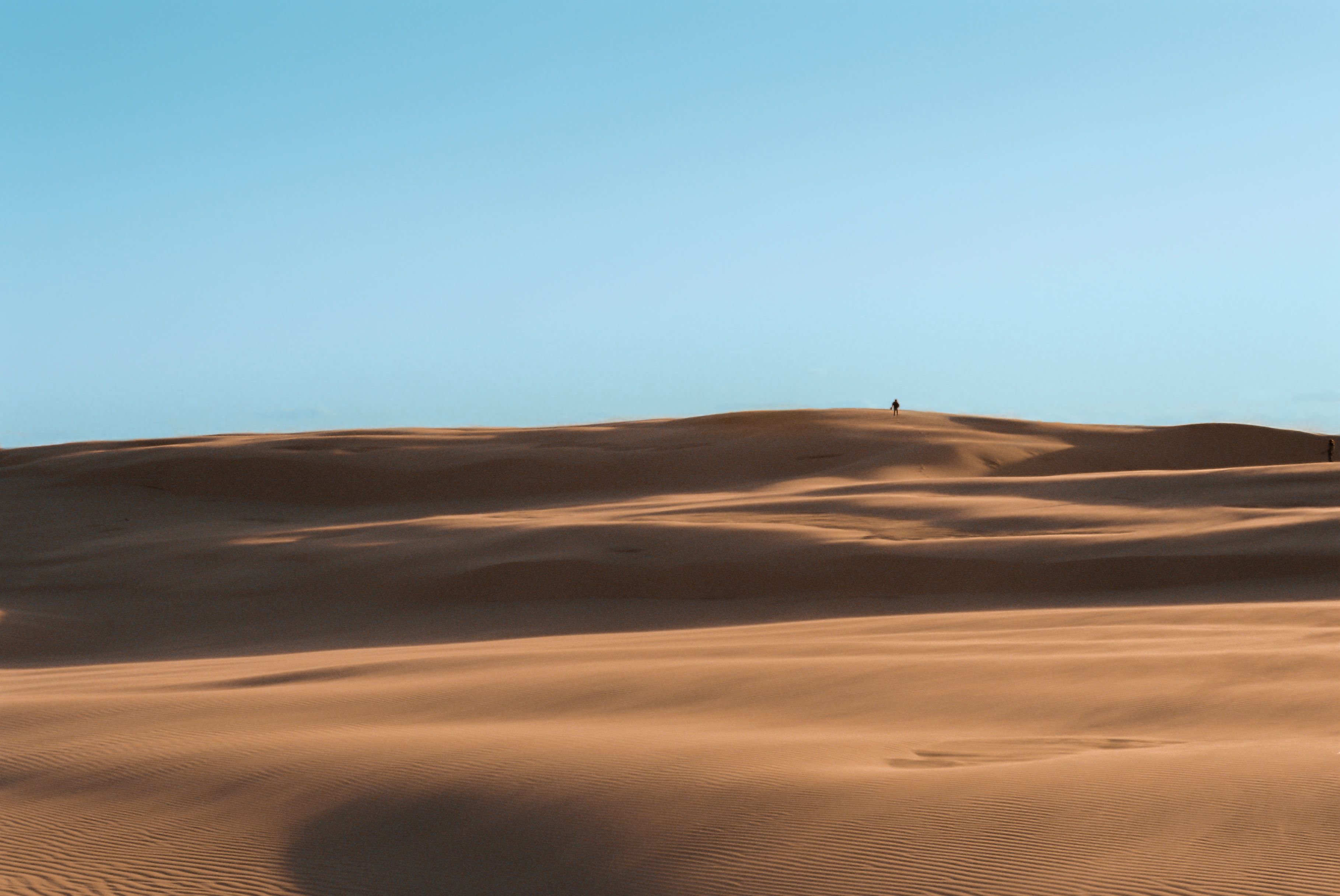 What the Australian Desert Really Taught us About UX Design