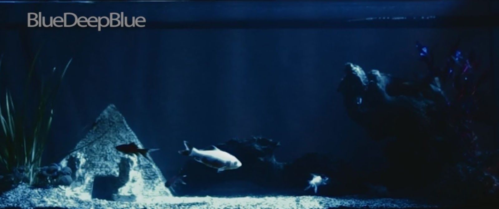 BlueDeepBlue