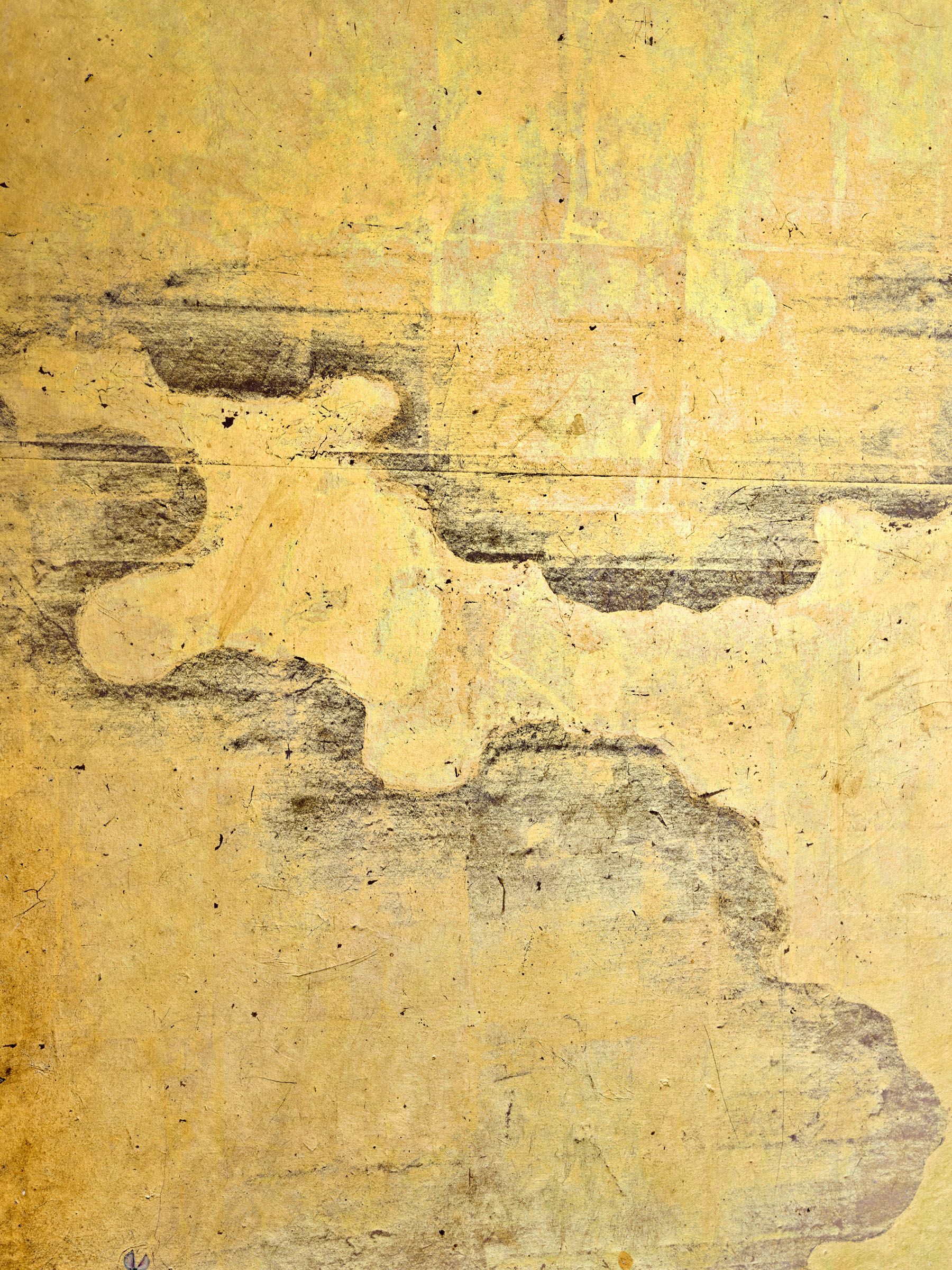 Zoomed Image