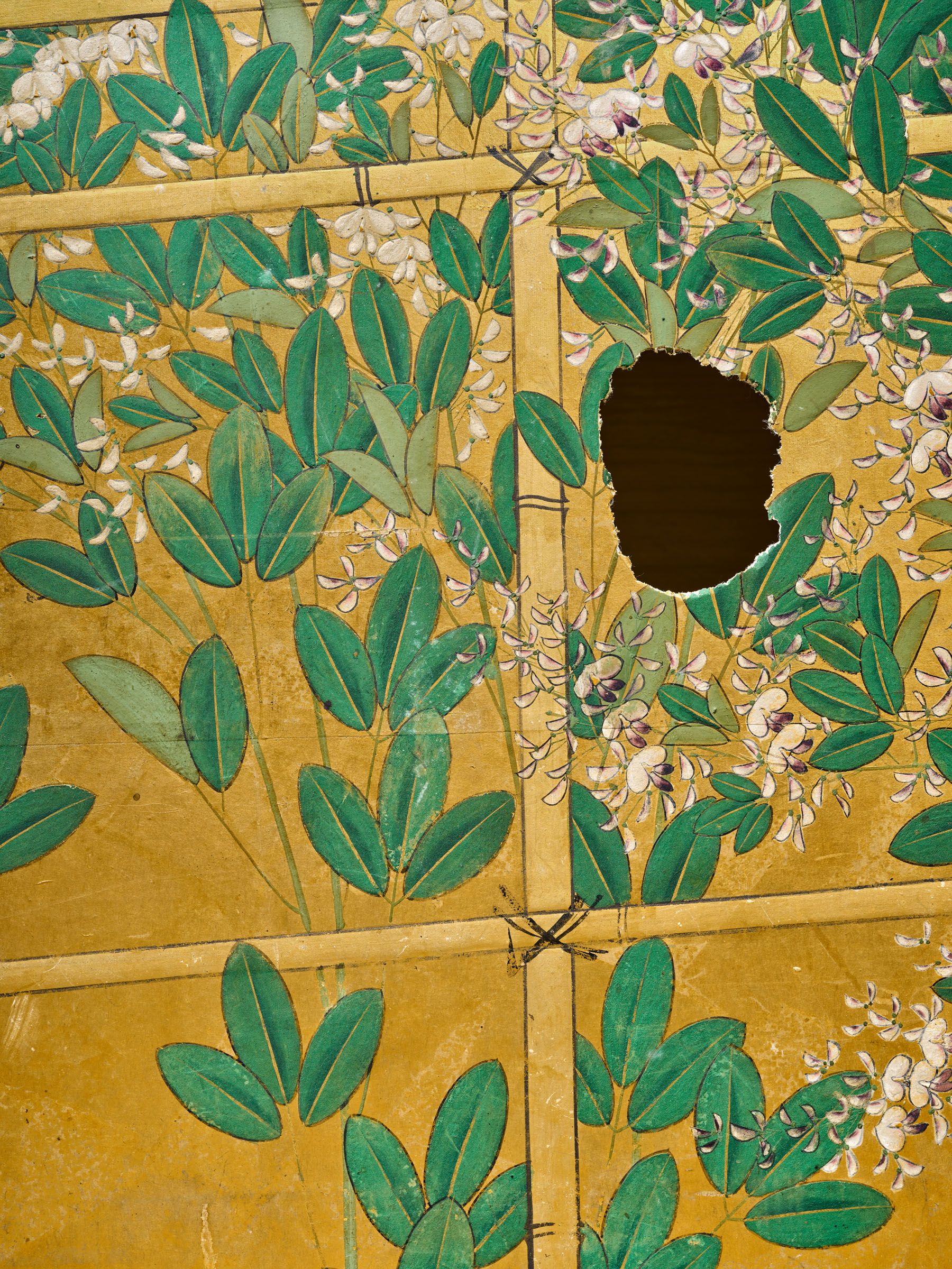 Zoomed Image