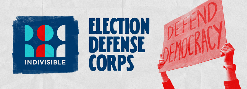 Protect the Vote - Pick Your Role