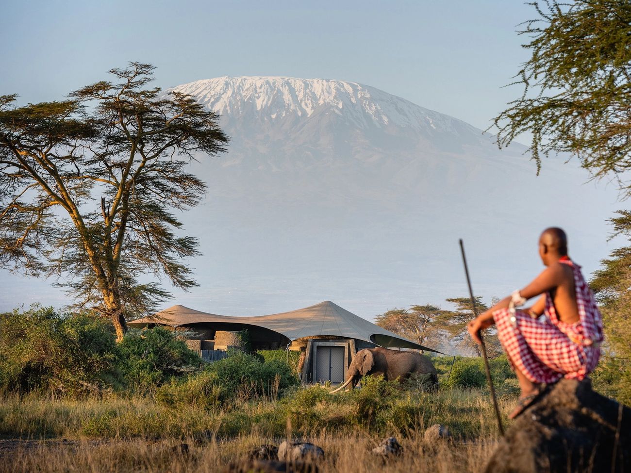 Angama Amboseli