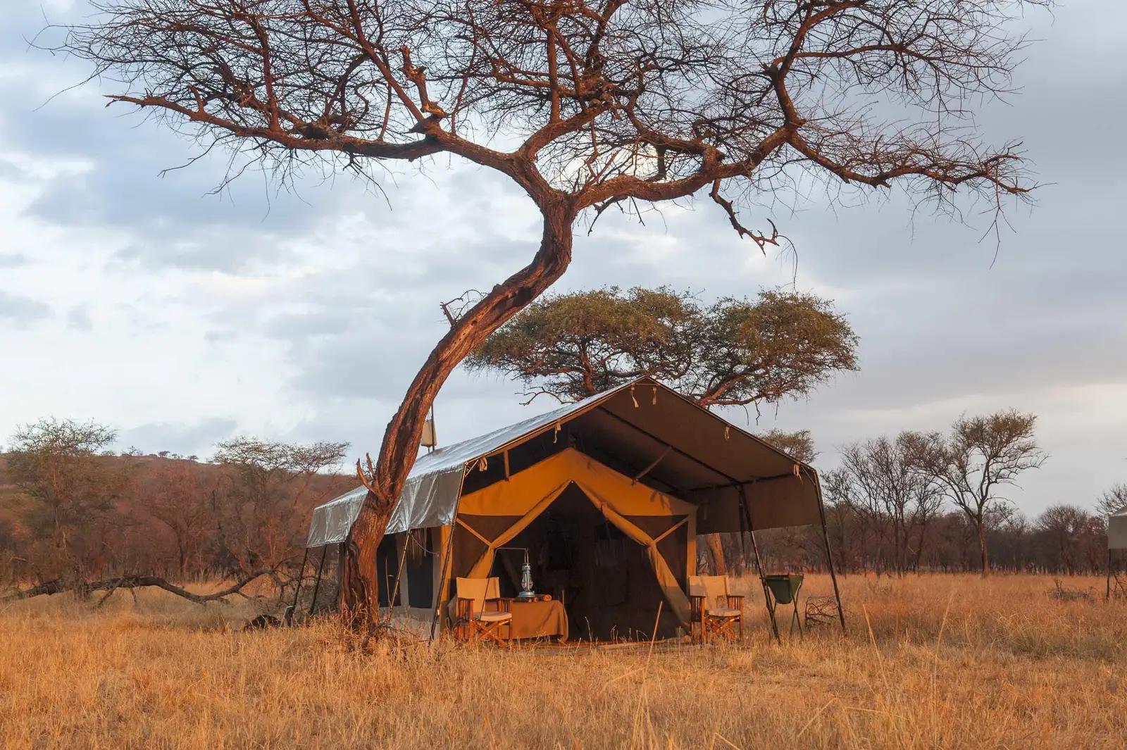 Serengeti Kati Kati Camp