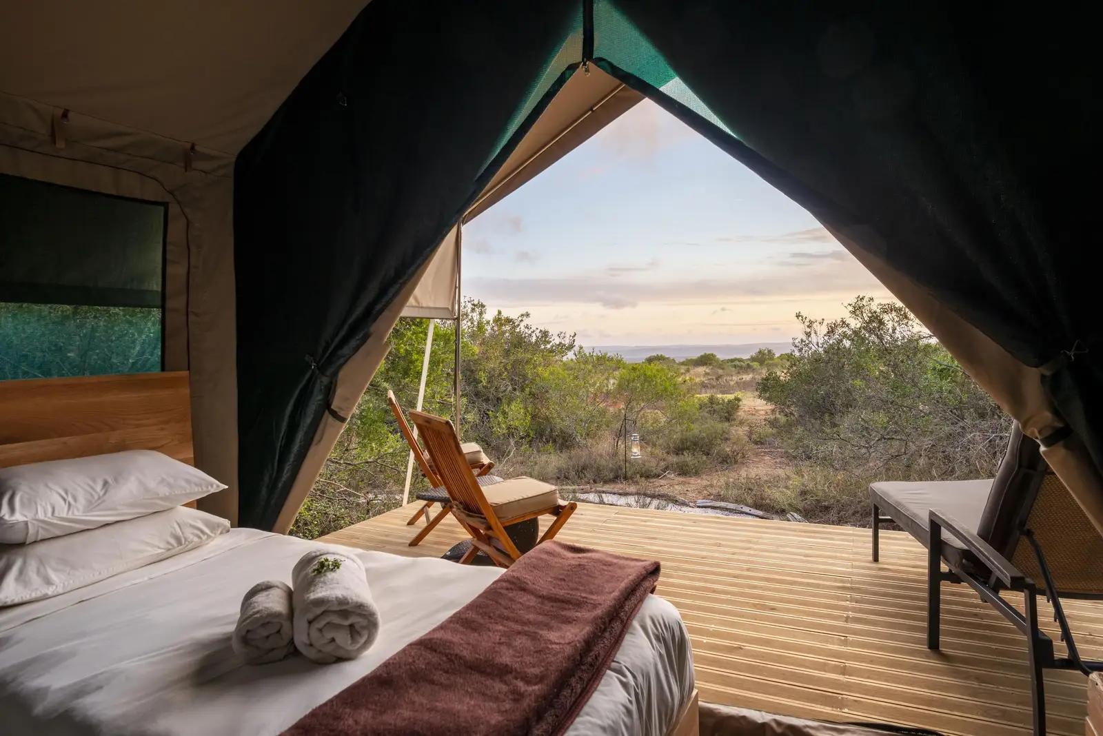 Shamwari Explorer Camp