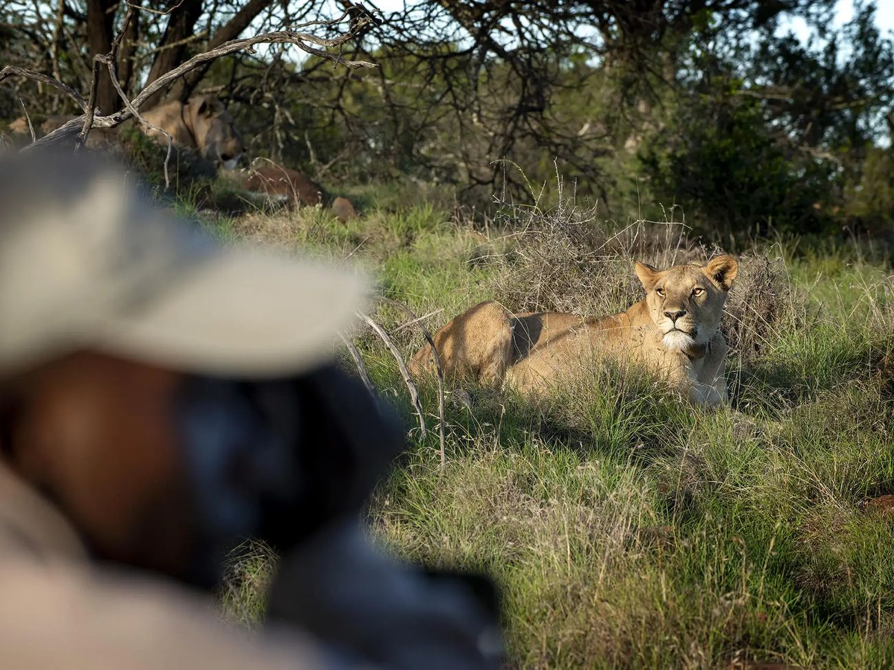 Samara Karoo Reserve